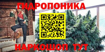индика Краснокаменск