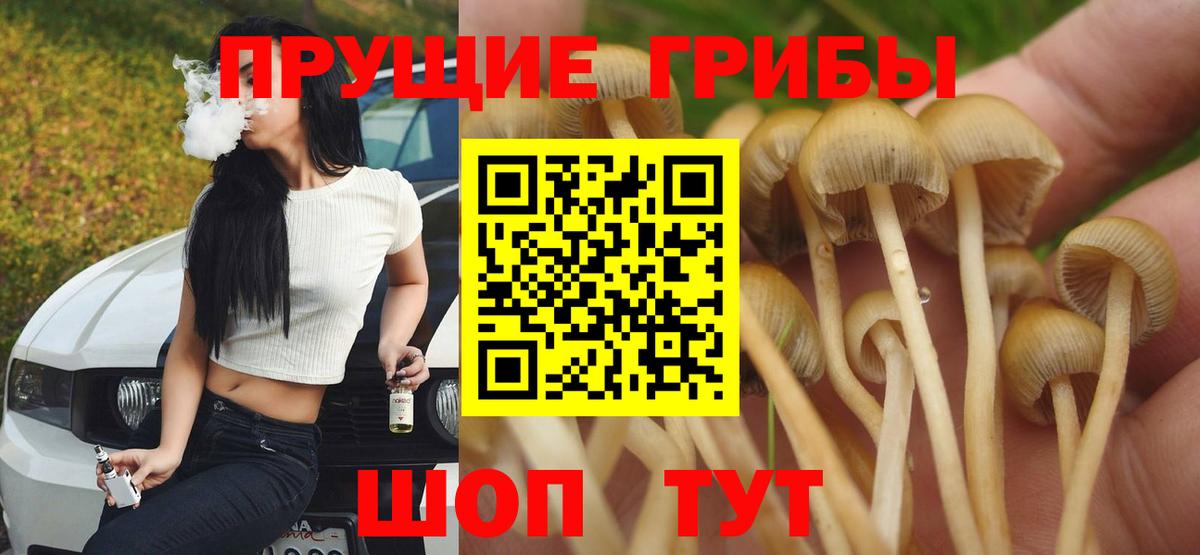 Псилоцибиновые грибы мухоморы  Вход с VPN  Псилоцибиновые грибы ЛСД  магазин    Домодедово 