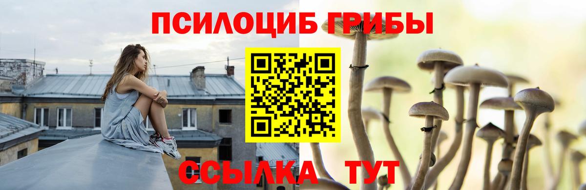 Псилоцибиновые грибы мицелий Домодедово